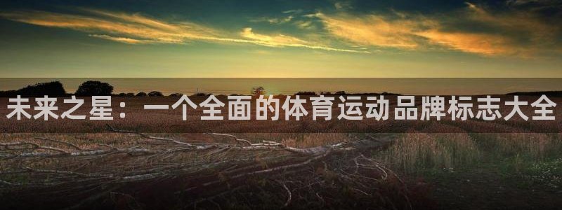 yy易游官网下载招商电话：未来之星：一个全面的体育运