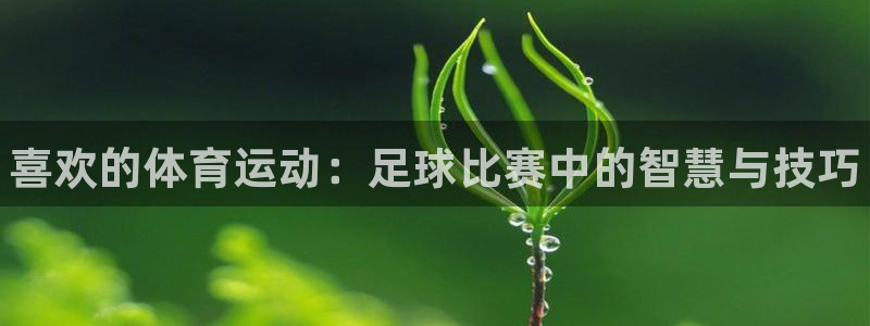 注册yy易游官方正版app：喜欢的体育运动：足球比赛