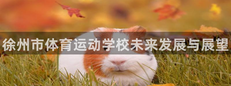 yy易游官方正版app集团官网网址：徐州市体育运动学