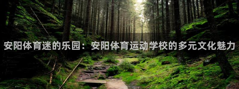 yy易游官网下载平台是正规平台吗：安阳体育迷的乐园：