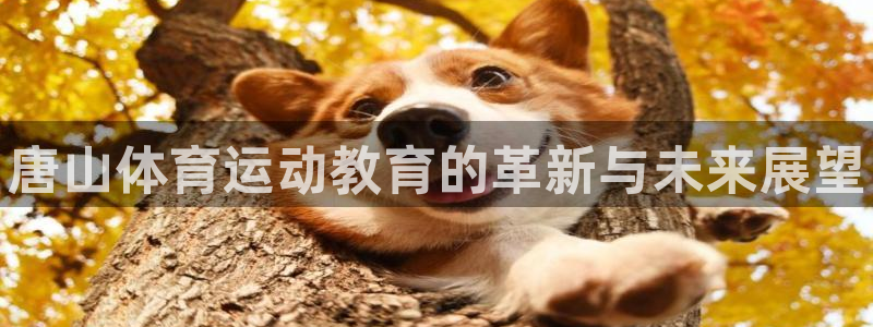 yy易游官方正版app官网：唐山体育运动教育的革新与