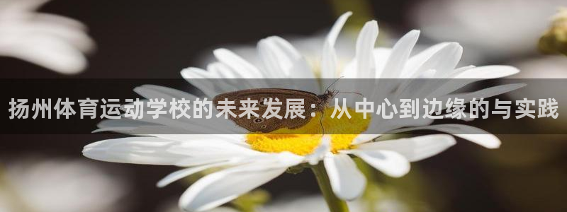 yy易游官网下载平台是正规平台吗：扬州体育运动学校的