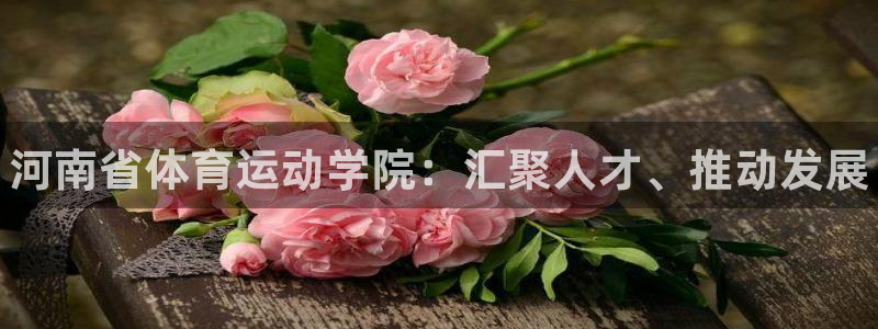 yy易游官方正版app集团：河南省体育运动学院：汇聚