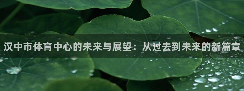 海南yy易游官网下载发展怎么样：汉中市体育中心的未来