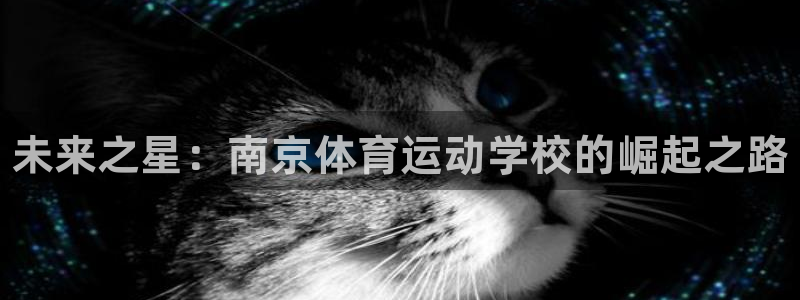 yy易游官方正版app娱乐网站：未来之星：南京体育运