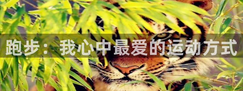 德国yy易游官方正版app集团：跑步：我心中最爱的运