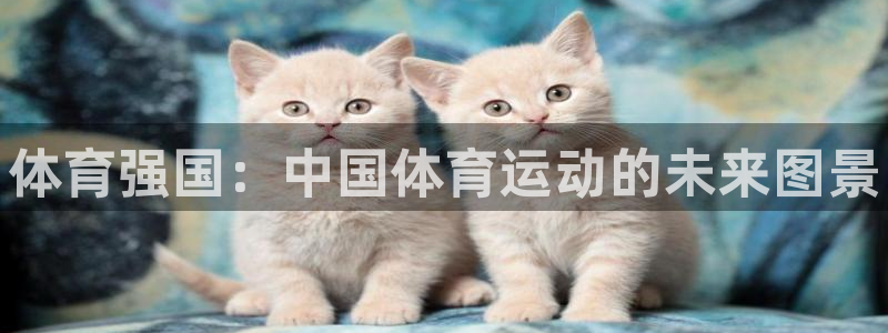 德国yy易游官方正版app集团：体育强国：中国体育运