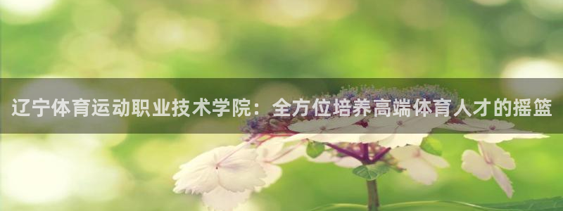 yy易游官网下载平台是正规平台吗：辽宁体育运动职业技术学院：