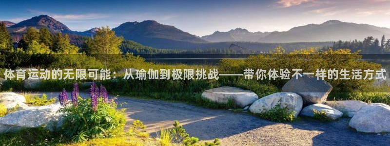 yy易游官网下载招商电话地址查询：体育运动的无限可能