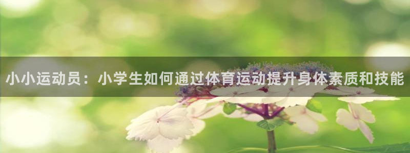 yy易游官网下载官方客服电话