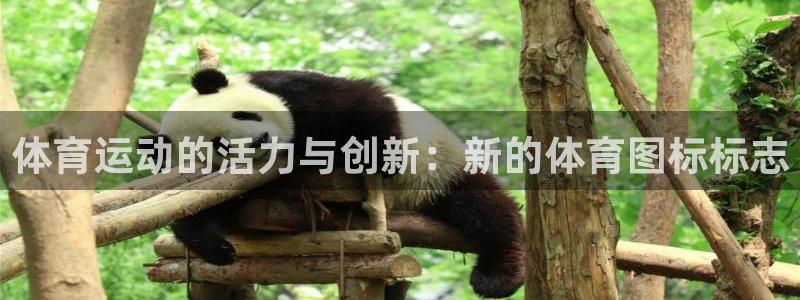 yy易游官网下载招商电话是多少：体育运动的活力与创新：新的体