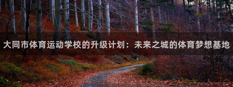 海南yy易游官网下载：大同市体育运动学校的升级计划：未来之城