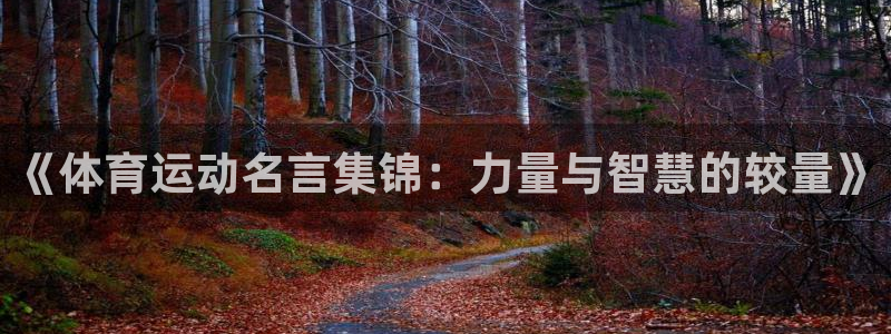 yy易游官方正版app集团：《体育运动名言集锦：力量与智慧的