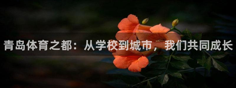 yy易游官方正版app集团E.ON