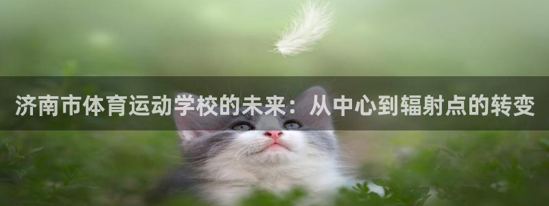 yy易游官方正版app娱乐首页网站大全：济南市体育运动学校的