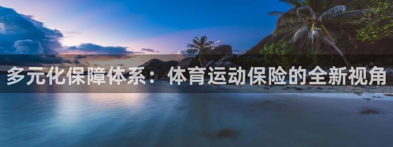 yy易游体育米乐：多元化保障体系：体育运动保险的全新视角