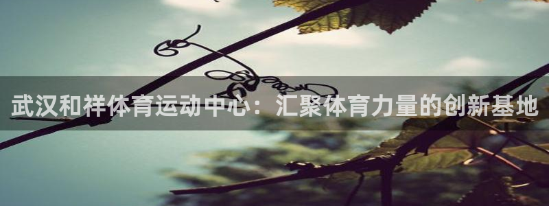 yy易游体育是正规的吗安全吗：武汉和祥体育运动中心：汇聚体育