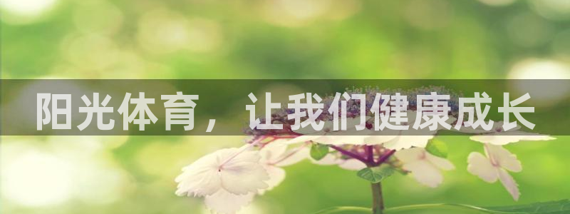 yy易游体育是什么：阳光体育，让我们