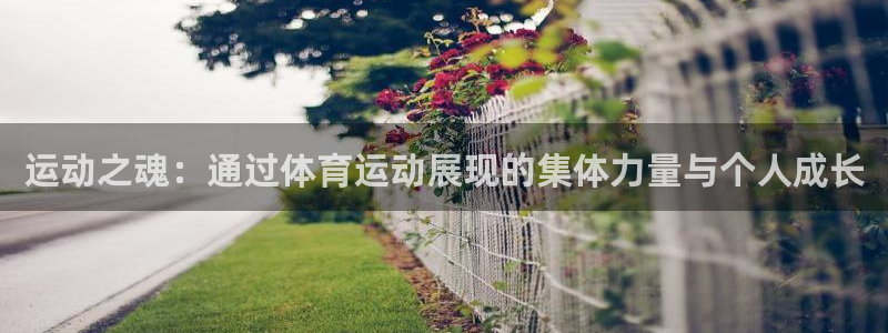 yy易游体育是什么：运动之魂：通过体育运动展现的集体力量与个