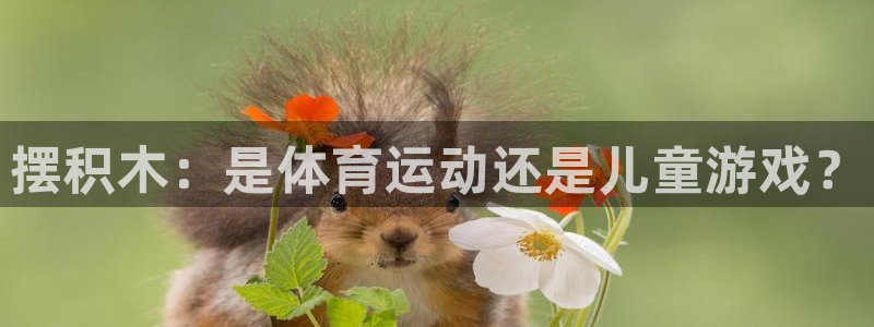  yy易游体育平台：摆积木：是体育运动还是儿童游戏？