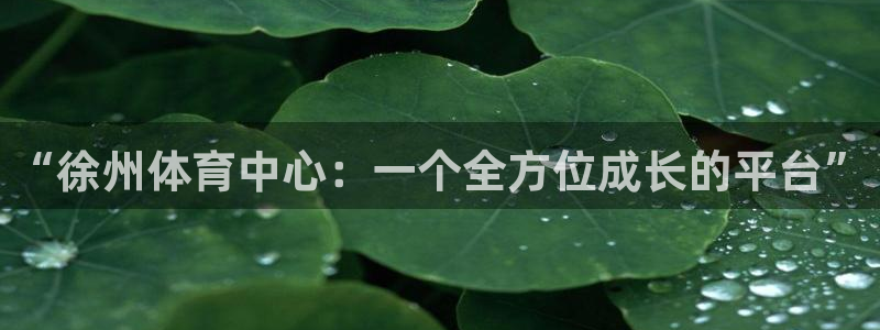  yy易游体育贴吧最新消息：“徐州体育中心：一个全方位成长的平