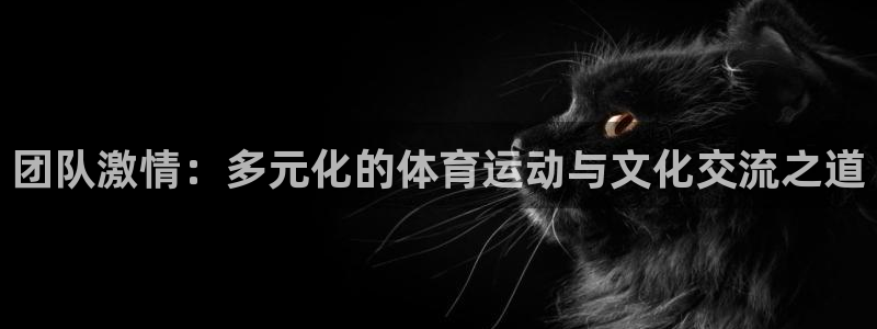  yy易游体育是正规的吗安全吗可靠吗：团队激情：多元化的体育运