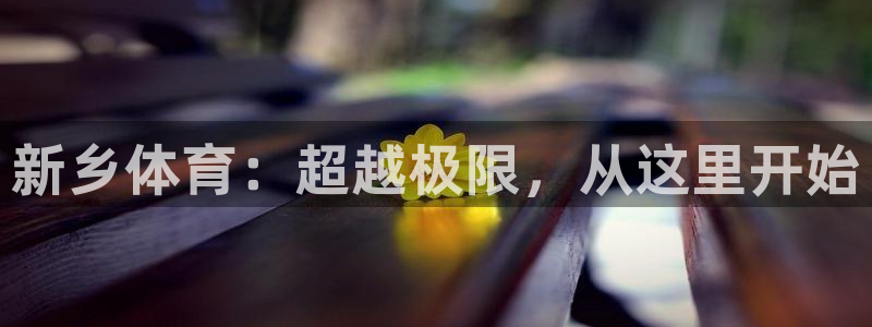  yy易游体育电竞怎么样：新乡体育：超越极限，从这里开始