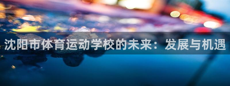  yy易游体育电竞登录不上去怎么办：沈阳市体育运动学校的未来：