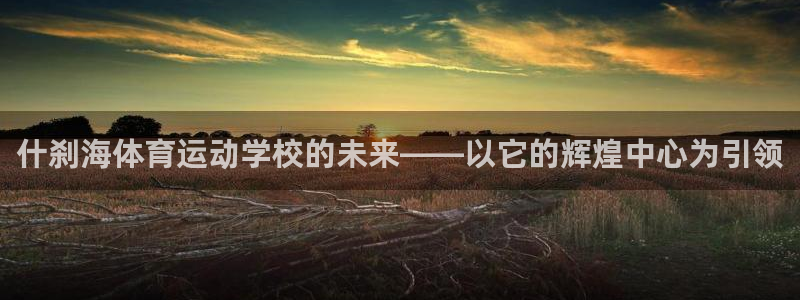  yy易游体育是正规的吗安全吗可靠吗：什刹海体育运动学校的未来