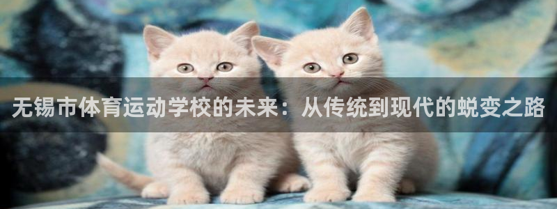 yy易游体育平台能提现吗是真的吗：无锡市体育运动学校的未来：