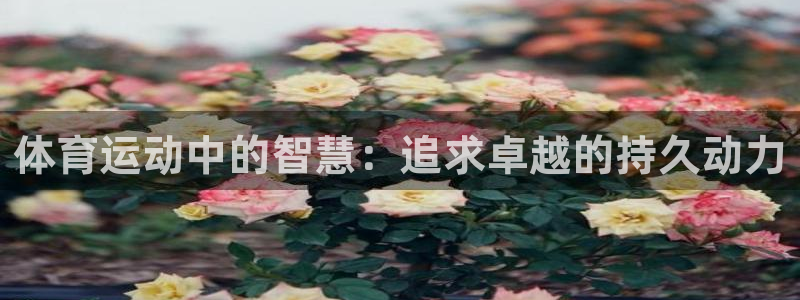 yy易游体育贴吧最新消息：体育运动中