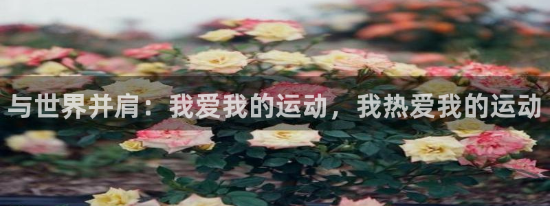  yy易游体育电竞登录不上去怎么办：与世界并肩：我爱我的运动，