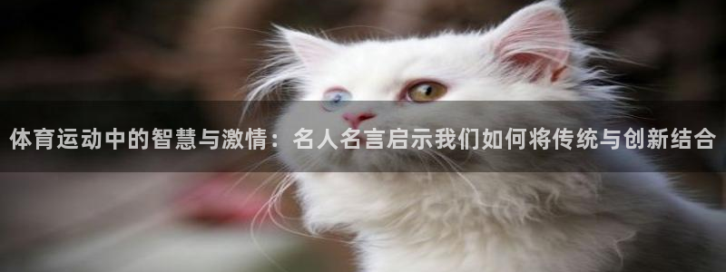 yy易游体育平台能提现吗是真的吗：体育运动中的智慧与激情：名