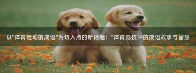 yy易游体育电竞怎么样