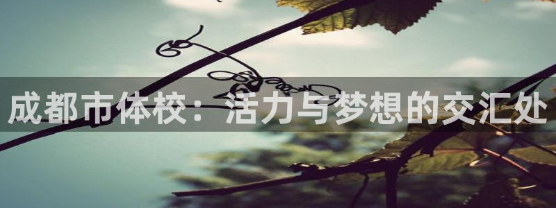 yy易游体育电竞登录不上去了：成都市