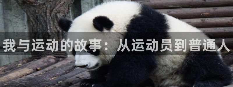 yy易游体育电竞登录不上去了