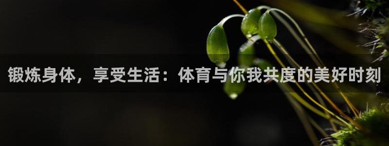 yy易游体育贴吧