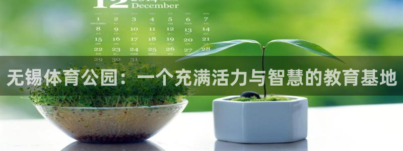 yy易游体育平台能提现吗是真的吗