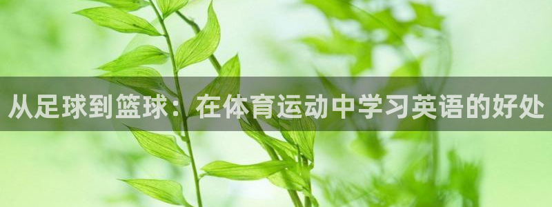 yy易游体育贴吧：从足球到篮球：在体
