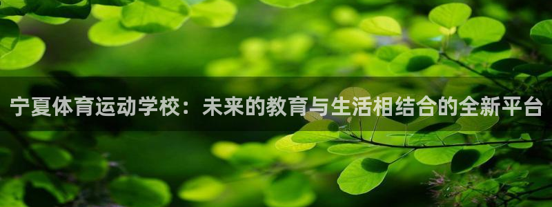 yy易游体育贴吧最新消息：宁夏体育运