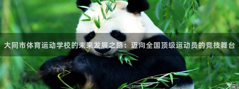 yy易游体育电竞登录不上去了：大同市